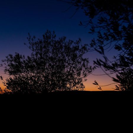 Skyline Eco-Camp Hotel Mitzpe Ramon Bagian luar foto