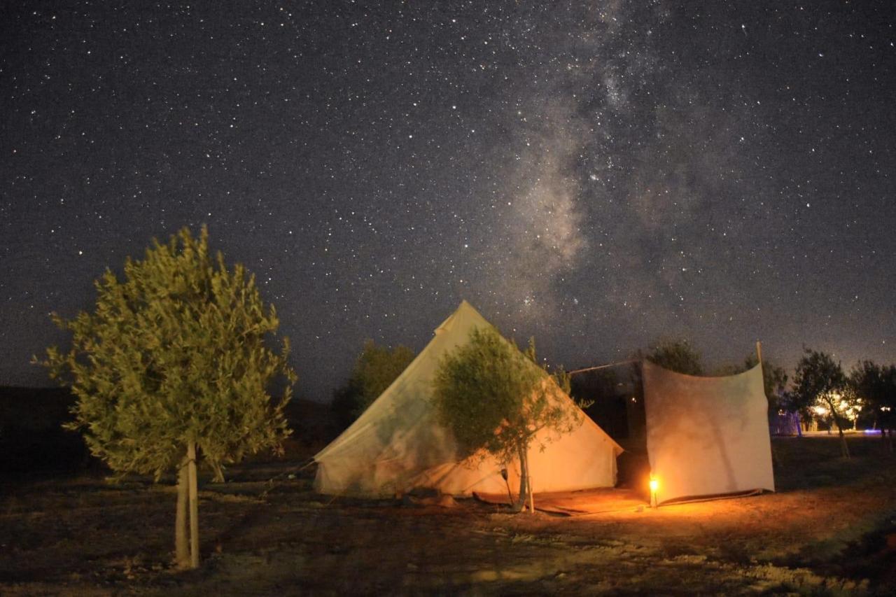 Skyline Eco-Camp Hotel Mitzpe Ramon Bagian luar foto